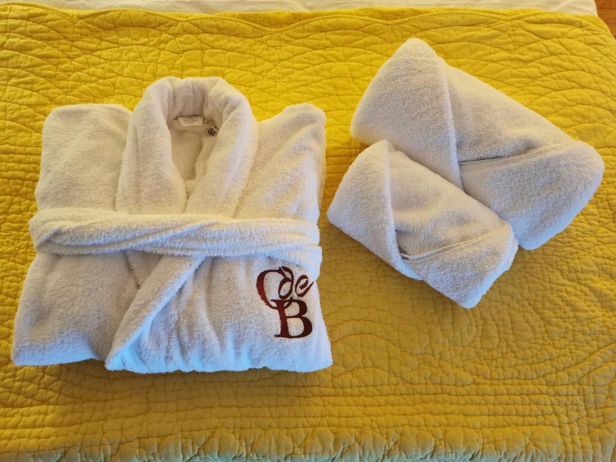 קרקסון Le Cellier De Beaulieu, Au Pied De La Cite, Maison De Vacances Avec Climatisation Et Jacuzzi מראה חיצוני תמונה